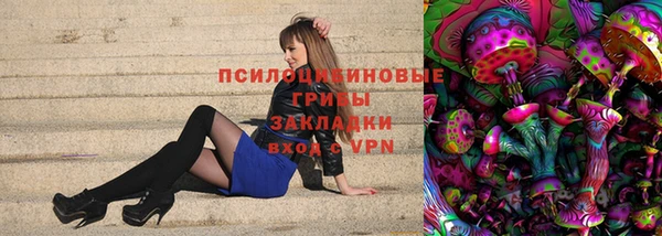 гашик Балабаново