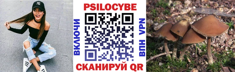 Галлюциногенные грибы мицелий Белинский